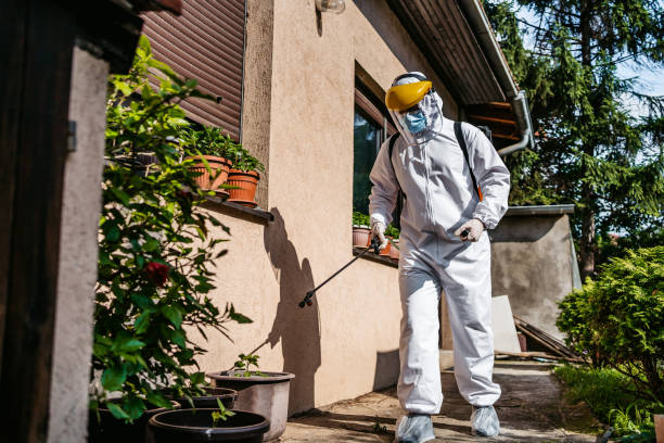 Best Mosquito Control Services  in Bon Aqua Junction, TN