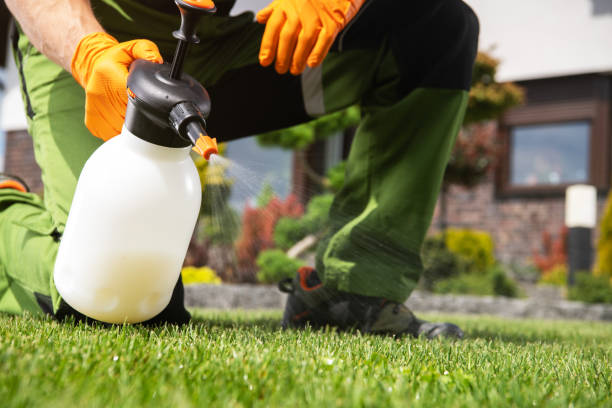 Insect Control in Bon Aqua Junction, TN