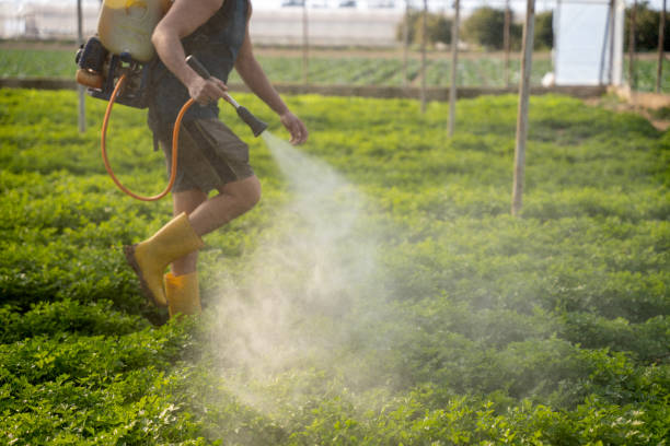 Best Exterminator Services  in Bon Aqua Junction, TN
