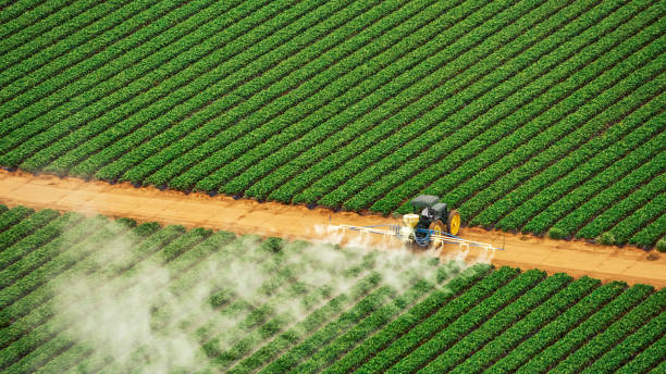 Best Pest Prevention Services  in Bon Aqua Junction, TN