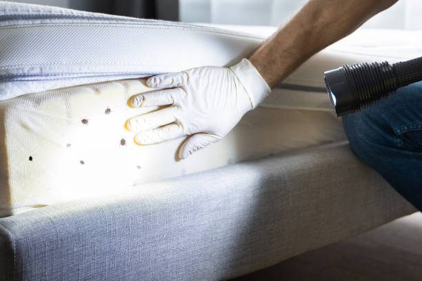 Best Commercial Pest Control Services  in Bon Aqua Junction, TN