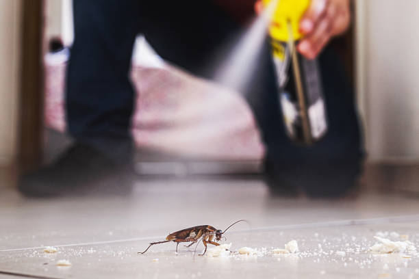 Best Residential Pest Control  in Bon Aqua Junction, TN
