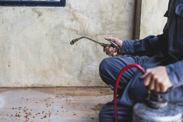 Professional Pest Control in Bon Aqua Junction, TN